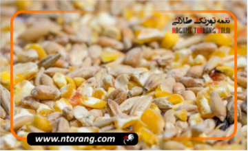 کنجاله سویا و اهمیت استفاده از آن در تغذیه طیور و پرندگان